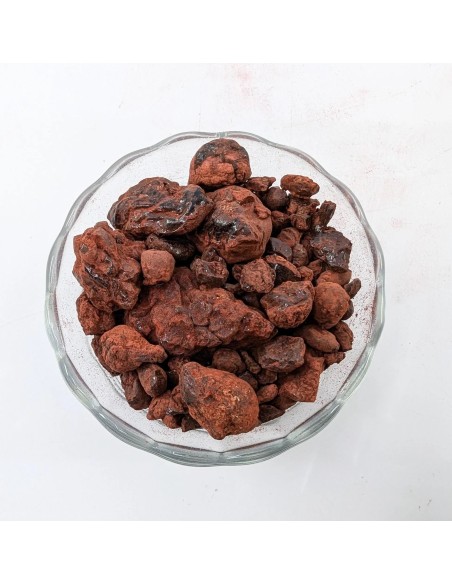 Résine sang de dragon de Socotra - Yemen