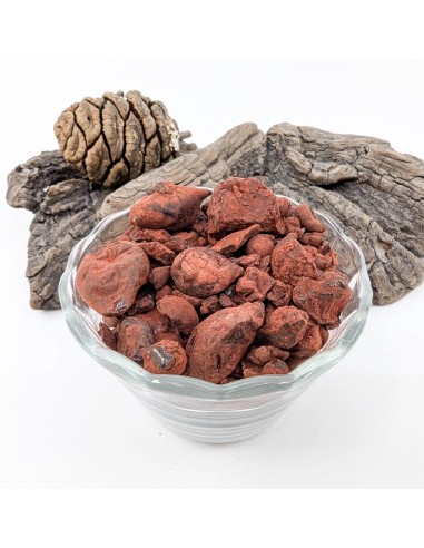 Résine sang de dragon de Socotra - Yemen