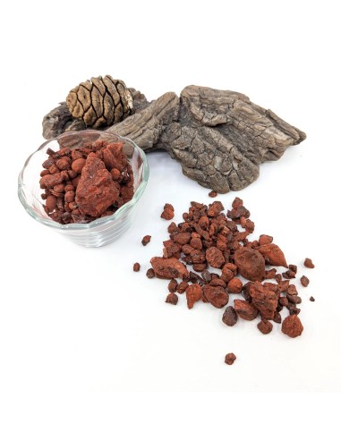 Résine sang de dragon de Socotra - Yemen