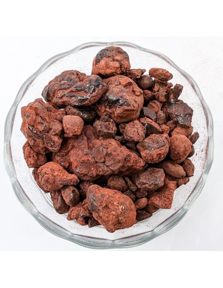 Résine sang de dragon de Socotra - Yemen