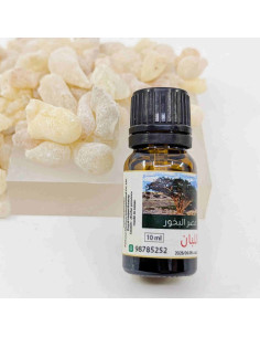 Huile essentielle d'Oliban d'Oman - Boswellia sacra 2