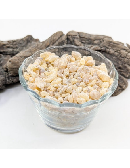 Oliban Boswellia carterii de Somalie