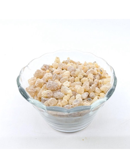 Oliban Boswellia carterii de Somalie
