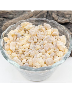 Oliban Boswellia carterii de Somalie
