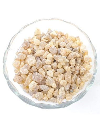 Oliban Boswellia carterii de Somalie