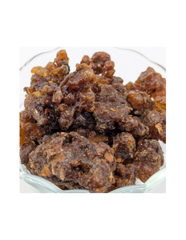 Myrrhe Oman-Yemen Commiphora myrrha