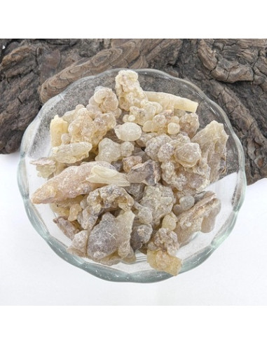 Encens Oliban Boswellia carterii, Somalie...