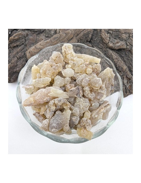 Encens Oliban Boswellia carterii, Somalie (région Hasasha Sanaag) – résine pour fumigation et rituel