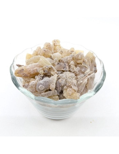 Encens Oliban Boswellia carterii, Somalie