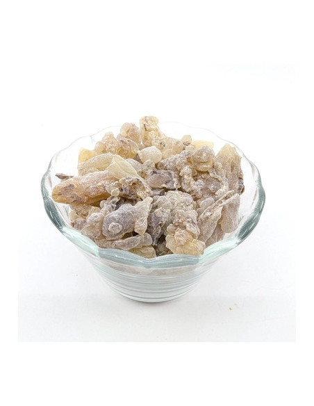 Encens Oliban Boswellia carterii, Somalie