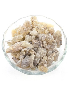 Encens Oliban Boswellia carterii, Somalie