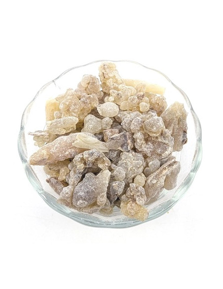 Encens Oliban Boswellia carterii, Somalie