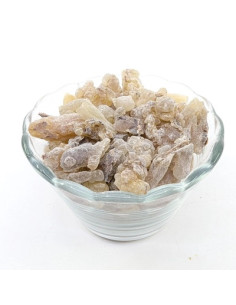 Encens Oliban Boswellia carterii, Somalie 2