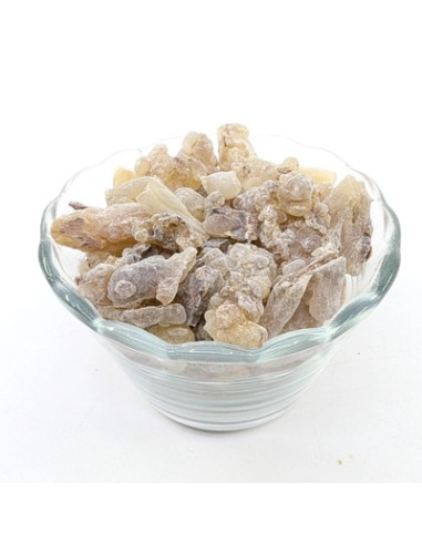 Encens Oliban Boswellia carterii, Somalie