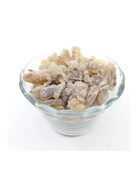 Encens Oliban Boswellia carterii, Somalie