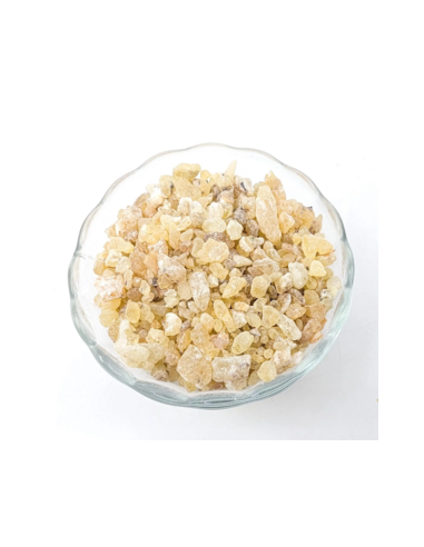 Encens Boswellia frereana – Résine naturelle de Somalie