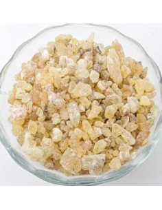 Encens Boswellia frereana – Résine naturelle de Somalie 2