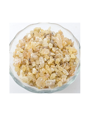 Encens Boswellia frereana – Résine naturelle de Somalie
