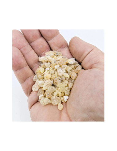 Encens Boswellia frereana – Résine naturelle de...