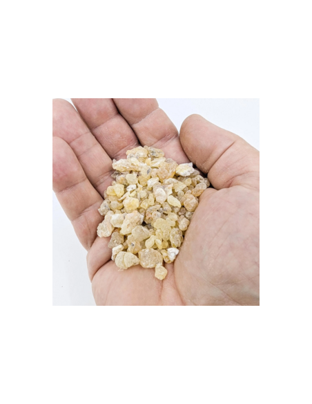 Encens Boswellia frereana – Résine naturelle de Somalie (Rari Buul) pour méditation et rituels