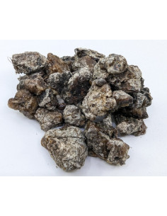 Résine de cèdre de Sibérie encens naturel 2