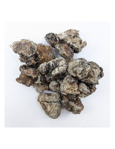 Résine de cèdre de Sibérie encens naturel