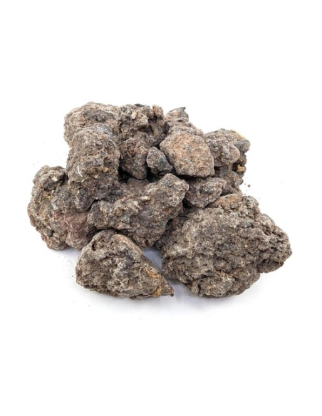 Oliban neglecta - Boswellia neglecta -Ethiopie