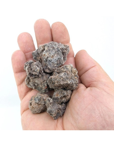 Oliban neglecta - Boswellia neglecta -Ethiopie
