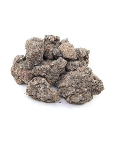 Oliban neglecta - Boswellia neglecta -Ethiopie