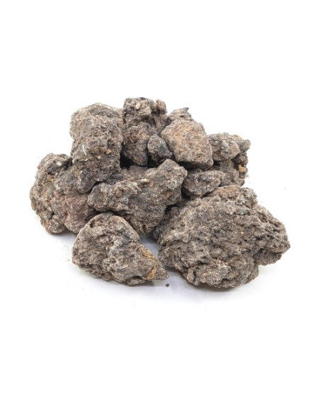 Oliban neglecta - Boswellia neglecta -Ethiopie