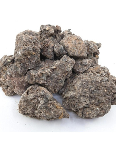 Oliban neglecta - Boswellia neglecta -Ethiopie