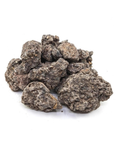 Oliban neglecta - Boswellia neglecta -Ethiopie