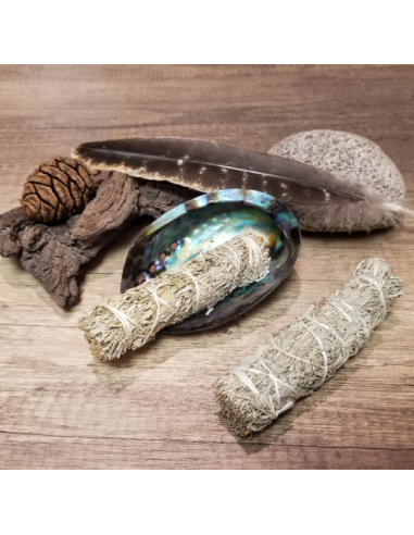 Bâton de sauge bleue pour fumigation