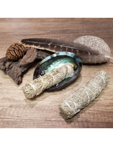 Bâton de sauge bleue pour fumigation