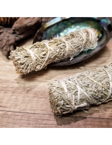 Bâton de sauge bleue pour fumigation