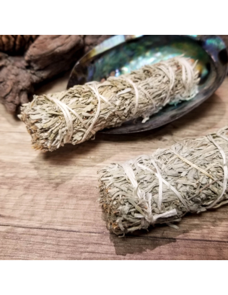 Bâton de sauge bleue pour fumigation