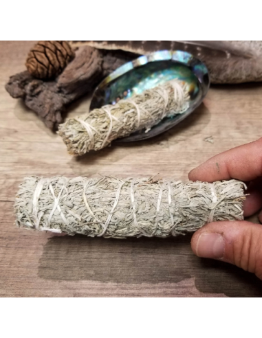 Bâton de sauge bleue pour fumigation