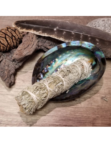 Bâton de sauge bleue pour purification