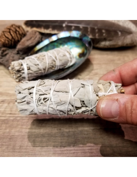 Bâtons de Sauge blanche de Californie pour purification, fumigation