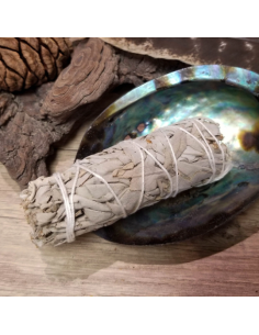 Bâtons de Sauge blanche de Californie pour Purification... 2