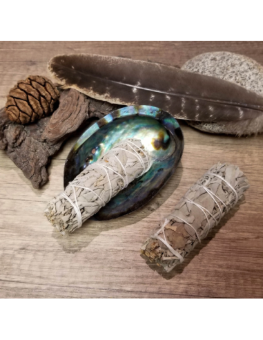 Bâtons de Sauge blanche de Californie pour...