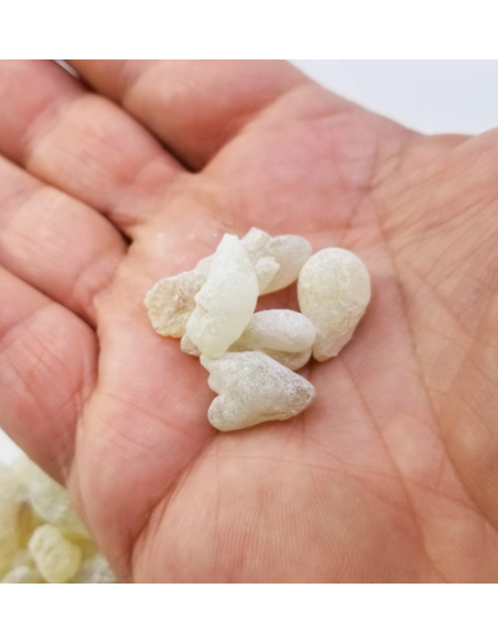 Oliban vert, Qualité  Royal Green Hojari, Boswellia sacra