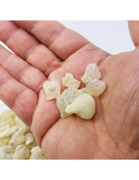 Encens résine naturelle Oliban Blanc Hojari superior, Boswellia sacra