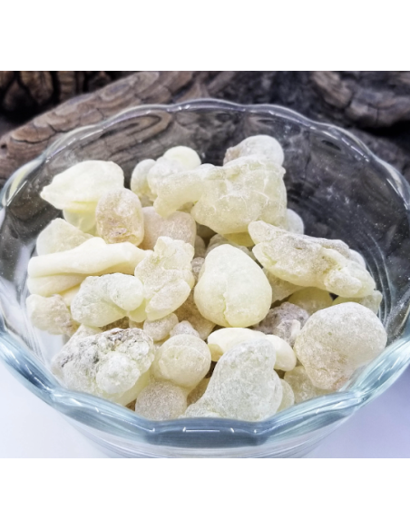 Encens résine naturelle Oliban Blanc Hojari superior, Boswellia sacra