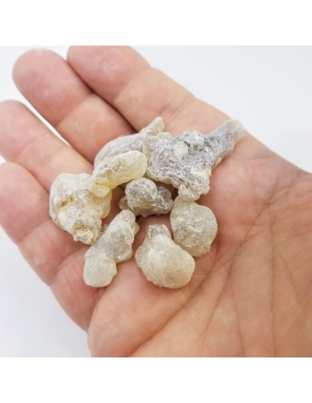 Oliban brun d'Oman - Encens naturel Qualité  Shazri | Boswellia sacra
