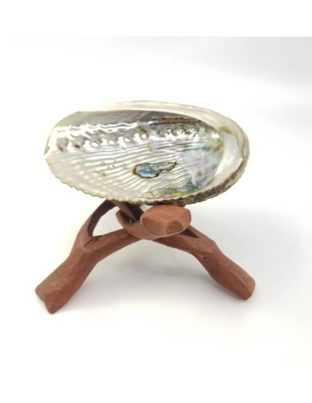 Coquille d'Ormeau avec trépied Cobra en bois, pour rituels de purification, Wicca