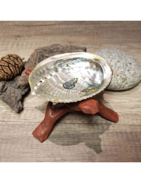 Coquille d'Ormeau avec trépied Cobra en bois, pour rituels de purification, Wicca