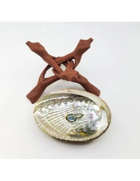 Coquille d'Ormeau avec trépied Cobra en bois, pour rituels de purification, Wicca
