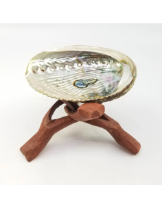 Coquille d'Ormeau avec trépied Cobra en bois, pour... 2