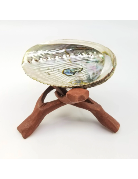 Coquille d'Ormeau avec trépied Cobra en bois, pour rituels de purification, Wicca